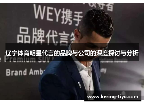 辽宁体育明星代言的品牌与公司的深度探讨与分析